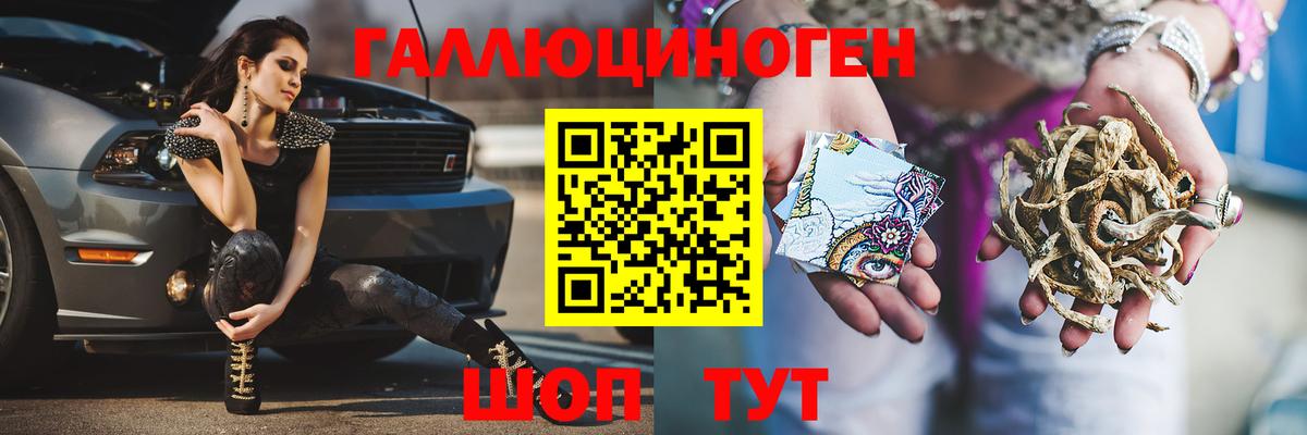 Галлюциногенные грибы Psilocybe Сланцы