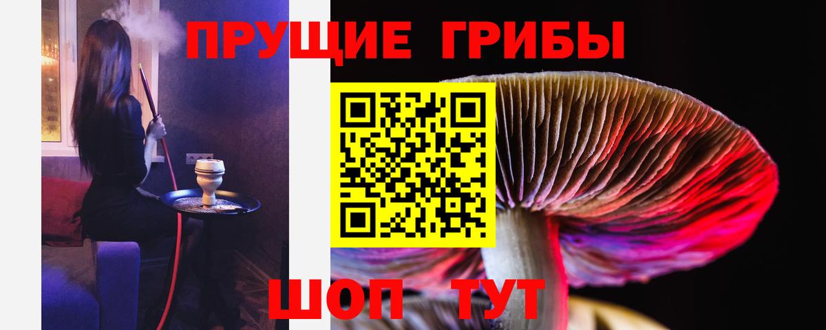 Галлюциногенные грибы Psilocybine cubensis  Вход с VPN  Сланцы  Псилоцибиновые грибы MAGIC MUSHROOMS 